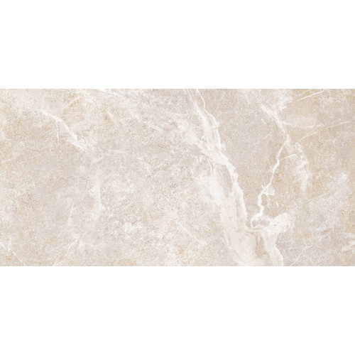 TWU2550PRS40 плитка облицовочная Persey 249*500