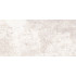TWU09PMT404 плитка облицовочная Piemonte 249*500