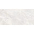 TWU09RVL004 плитка облицовочная Rivoli 249*500