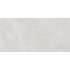 TWU09RVL007 плитка облицовочная Rivoli 249*500