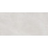 TWU09RVL007 плитка облицовочная Rivoli 249*500