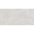 TWU09RVL007 плитка облицовочная Rivoli 249*500
