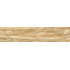 GFA92WDW48R плитка керамогранитная Wonderwood 200*900