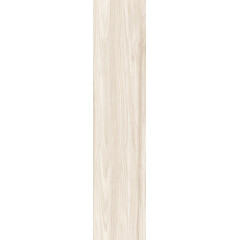 Wooden Gris GP2090DEN05R Керамогранит матовый 200x900