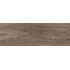Baikal brown PG 02 200x600 (1-й сорт)