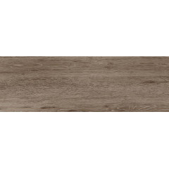 Baikal brown PG 02 200x600 (1-й сорт)