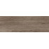Baikal brown PG 02 200x600 (1-й сорт)