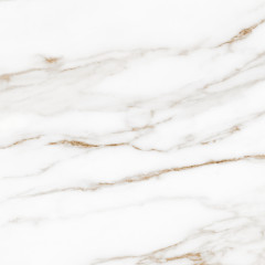 Royal white PG 01 450x450 (1-й сорт)