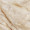 6060ORO11P Onyx Royal Latte Керамогранит полированный 600x600