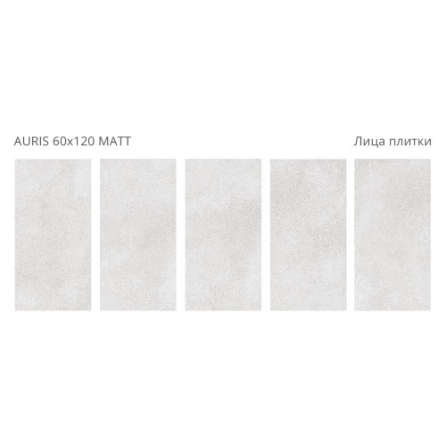 Коллекция Rizzi 60x120 Staro